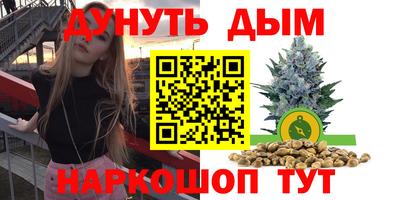 молекула духа Бийск