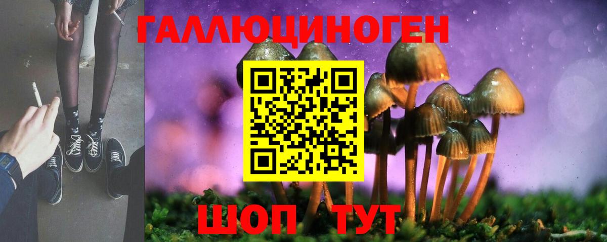 Галлюциногенные грибы Psilocybe Зеленогорск